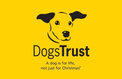 how much money does dogs trust raise per year