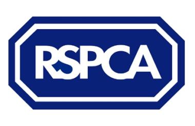 RSPCA Reports A Deficit Of £17.2m For 2019