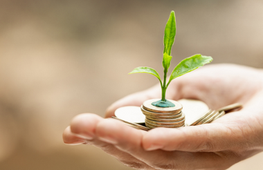 NatWest charity announces switch to sustainable investment policy