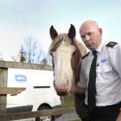 RSPCA announces independent prosecutions review