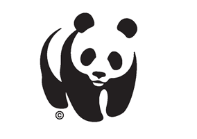 Wwf Accused Of Funding Human Rights Abuses In New Report