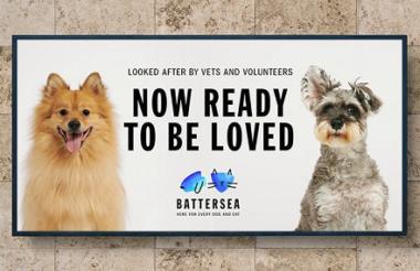 battersea dogs for adoption