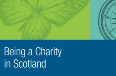 scottish charity business plan